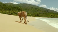 Life of Pi
